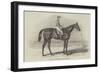 Sweetmeat, the Winner of the Doncaster Plate-James Herring-Framed Giclee Print