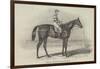 Sweetmeat, the Winner of the Doncaster Plate-James Herring-Framed Giclee Print