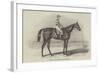 Sweetmeat, the Winner of the Doncaster Plate-James Herring-Framed Giclee Print