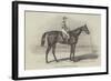 Sweetmeat, the Winner of the Doncaster Plate-James Herring-Framed Giclee Print