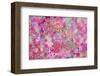 Sweetness all over-Claire Westwood-Framed Art Print