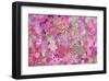 Sweetness all over-Claire Westwood-Framed Art Print