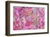 Sweetness all over-Claire Westwood-Framed Art Print