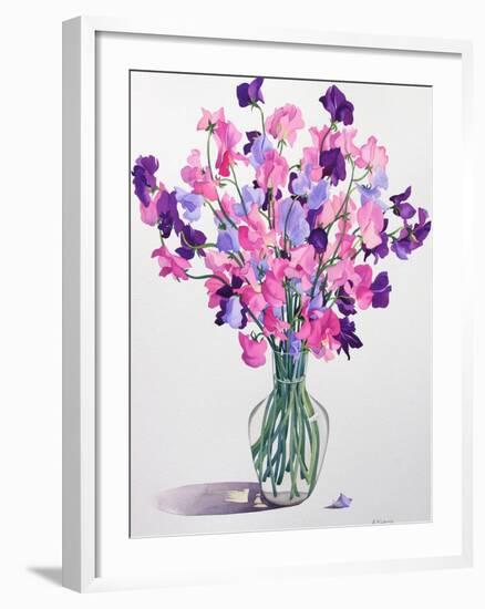 Sweetpeas, 2007-Christopher Ryland-Framed Giclee Print