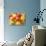 Sweets/lollies-null-Photographic Print displayed on a wall