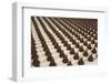 Sweets on a Chocolate Factory Conveyor-photowind-Framed Photographic Print