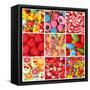 Sweets-egal-Framed Stretched Canvas
