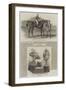 Sweetsauce, the Winner of the Goodwood Cup-Benjamin Herring-Framed Giclee Print