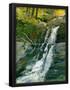 Essential Black