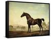 Sweetwilliam', a Bay Racehorse, in a Paddock, 1779-George Stubbs-Framed Stretched Canvas