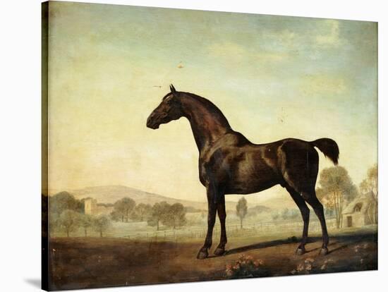 Sweetwilliam', a Bay Racehorse, in a Paddock, 1779-George Stubbs-Stretched Canvas