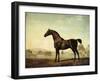 Sweetwilliam', a Bay Racehorse, in a Paddock, 1779-George Stubbs-Framed Premium Giclee Print