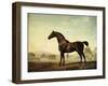 Sweetwilliam', a Bay Racehorse, in a Paddock, 1779-George Stubbs-Framed Giclee Print