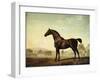 Sweetwilliam', a Bay Racehorse, in a Paddock, 1779-George Stubbs-Framed Giclee Print