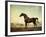 Sweetwilliam', a Bay Racehorse, in a Paddock, 1779-George Stubbs-Framed Giclee Print