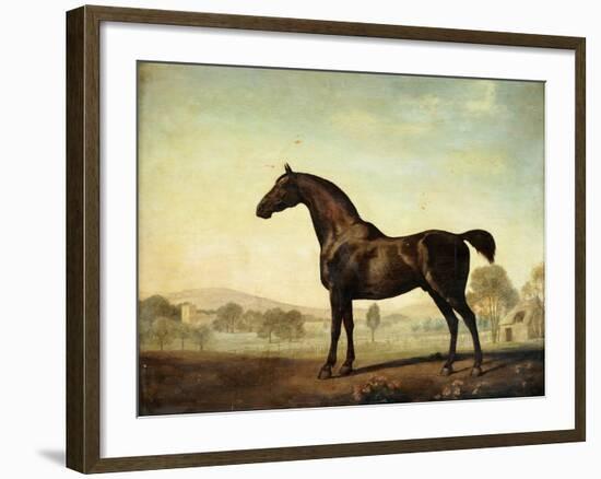 Sweetwilliam', a Bay Racehorse, in a Paddock, 1779-George Stubbs-Framed Giclee Print