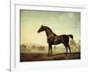 Sweetwilliam', a Bay Racehorse, in a Paddock, 1779-George Stubbs-Framed Giclee Print