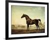 Sweetwilliam', a Bay Racehorse, in a Paddock, 1779-George Stubbs-Framed Giclee Print