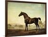 Sweetwilliam', a Bay Racehorse, in a Paddock, 1779-George Stubbs-Framed Giclee Print