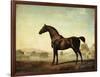 Sweetwilliam', a Bay Racehorse, in a Paddock, 1779-George Stubbs-Framed Giclee Print