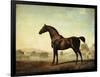 Sweetwilliam', a Bay Racehorse, in a Paddock, 1779-George Stubbs-Framed Giclee Print