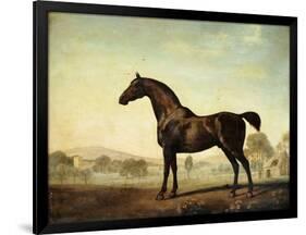 Sweetwilliam', a Bay Racehorse, in a Paddock, 1779-George Stubbs-Framed Giclee Print