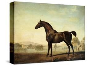 Sweetwilliam', a Bay Racehorse, in a Paddock-George Stubbs-Stretched Canvas