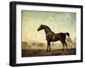 Sweetwilliam', a Bay Racehorse, in a Paddock-George Stubbs-Framed Giclee Print