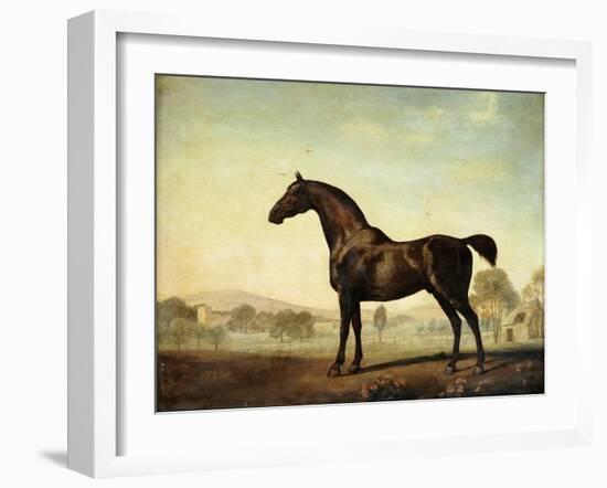 Sweetwilliam', a Bay Racehorse, in a Paddock-George Stubbs-Framed Giclee Print