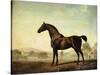 Sweetwilliam', a Bay Racehorse, in a Paddock-George Stubbs-Stretched Canvas