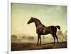 Sweetwilliam', a Bay Racehorse, in a Paddock-George Stubbs-Framed Giclee Print