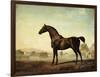 Sweetwilliam', a Bay Racehorse, in a Paddock-George Stubbs-Framed Giclee Print