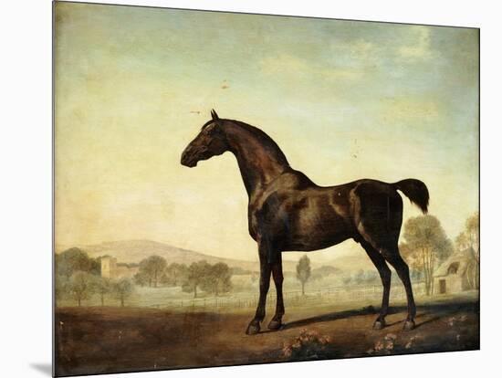 Sweetwilliam', a Bay Racehorse, in a Paddock-George Stubbs-Mounted Giclee Print