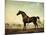 Sweetwilliam', a Bay Racehorse, in a Paddock-George Stubbs-Mounted Giclee Print