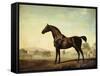 Sweetwilliam', a Bay Racehorse, in a Paddock-George Stubbs-Framed Stretched Canvas