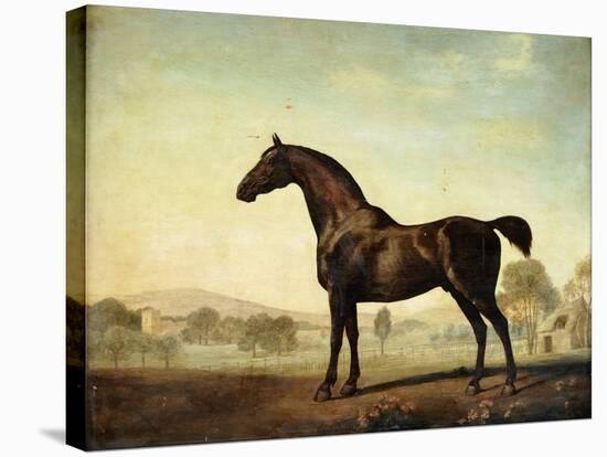 Sweetwilliam', a Bay Racehorse, in a Paddock-George Stubbs-Stretched Canvas