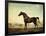 Sweetwilliam', a Bay Racehorse, in a Paddock-George Stubbs-Framed Giclee Print