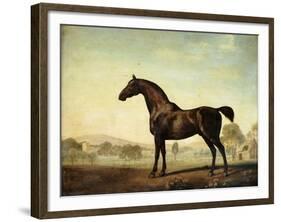 Sweetwilliam', a Bay Racehorse, in a Paddock-George Stubbs-Framed Giclee Print