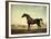 Sweetwilliam', a Bay Racehorse, in a Paddock-George Stubbs-Framed Giclee Print