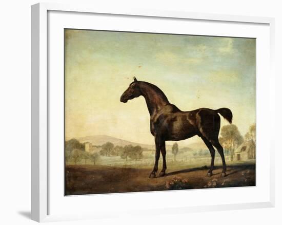 Sweetwilliam', a Bay Racehorse, in a Paddock-George Stubbs-Framed Giclee Print