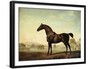 Sweetwilliam', a Bay Racehorse, in a Paddock-George Stubbs-Framed Giclee Print