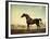 Sweetwilliam', a Bay Racehorse, in a Paddock-George Stubbs-Framed Giclee Print