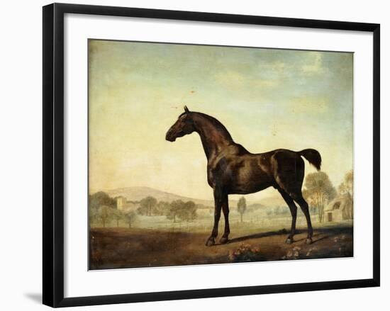 Sweetwilliam', a Bay Racehorse, in a Paddock-George Stubbs-Framed Giclee Print