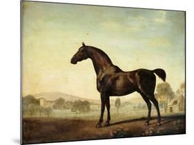 Sweetwilliam', a Bay Racehorse, in a Paddock-George Stubbs-Mounted Giclee Print