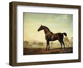 Sweetwilliam', a Bay Racehorse, in a Paddock-George Stubbs-Framed Giclee Print