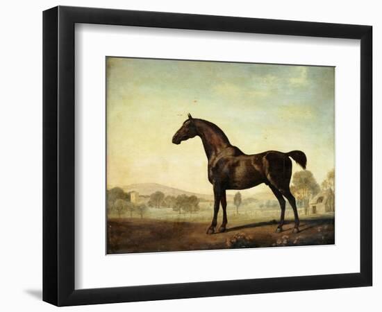 Sweetwilliam', a Bay Racehorse, in a Paddock-George Stubbs-Framed Giclee Print