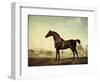 Sweetwilliam', a Bay Racehorse, in a Paddock-George Stubbs-Framed Giclee Print