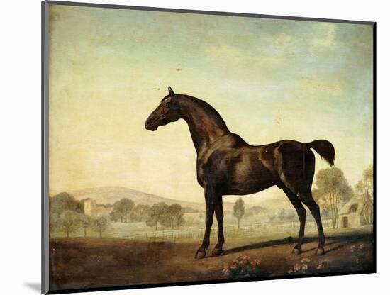 Sweetwilliam', a Bay Racehorse, in a Paddock-George Stubbs-Mounted Giclee Print