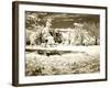 Swenson's House-Alan Hausenflock-Framed Photographic Print