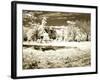 Swenson's House-Alan Hausenflock-Framed Photographic Print